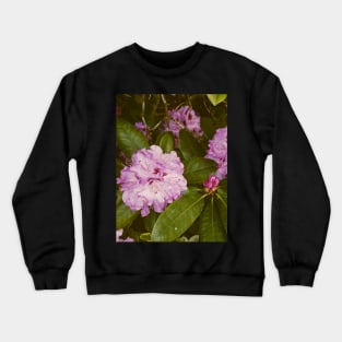 The Magical Secret Garden Crewneck Sweatshirt